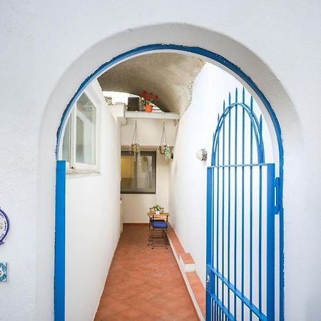 Appartamento Panoramico La Rosa Dei Venti - Maestrale Ischia Kültér fotó